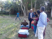 সরিষা ফসলে মৌ চাষ